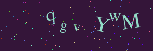 Validation image